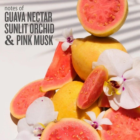 $12❤️🔥 LAST 1! Sol de Janeiro Cheirosa 48 Hair & Body Mist Mini ✨ NEW - Picture 2 of 7